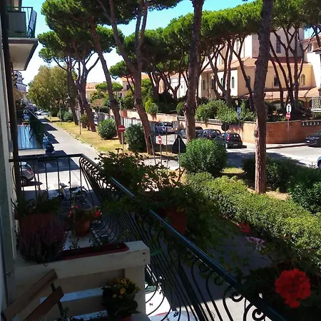 San Francesco 维亚雷焦